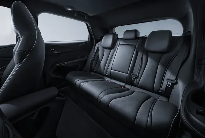 Hàng ghế sau BYD Dolphin 2026