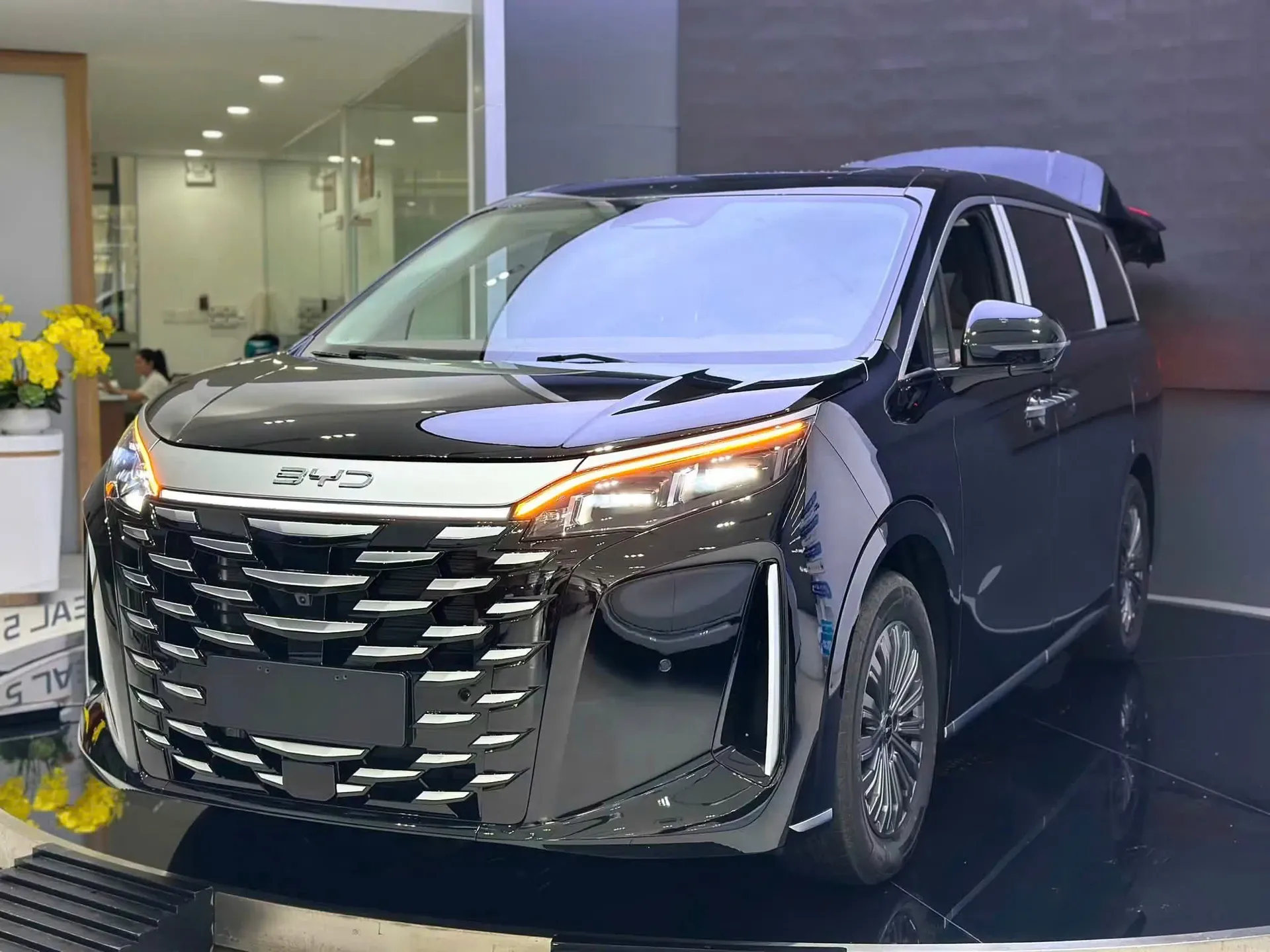 BYD M9 trưng bày tại showroom BYD GOEV Bình Thuận