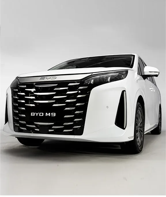 BYD M9 Premium giá niêm yết 2.388.000.000 đồng