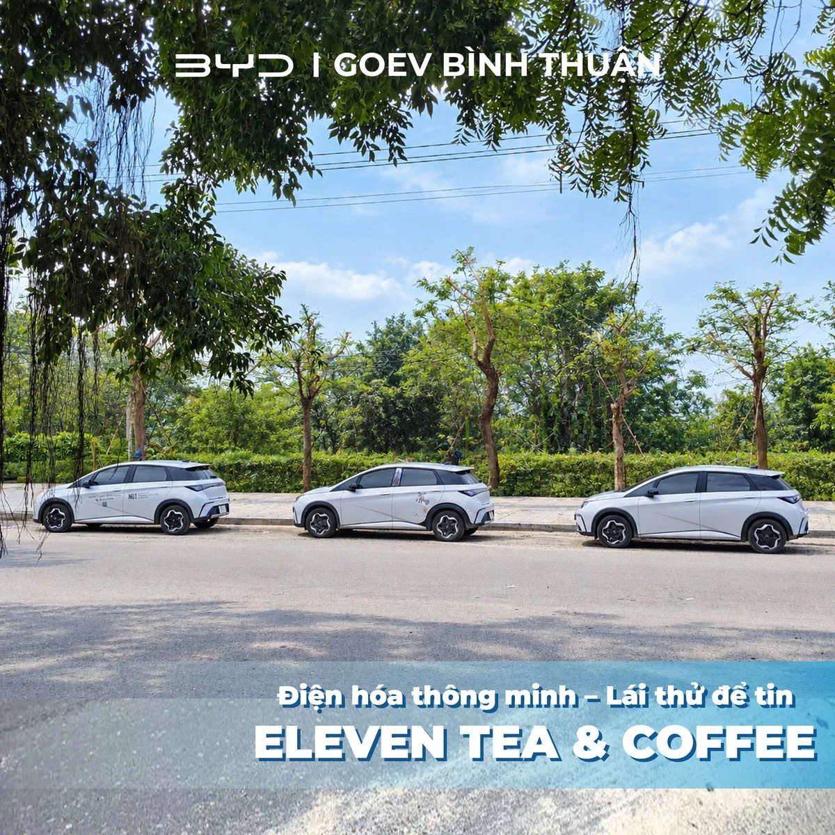 Lái Thử Xe BYD Tại Eleven Tea & Coffee Liên Hương Ngày 10/10/2026 8 Các mẫu xe điện BYD tại sự kiện lái thử Liên Hương